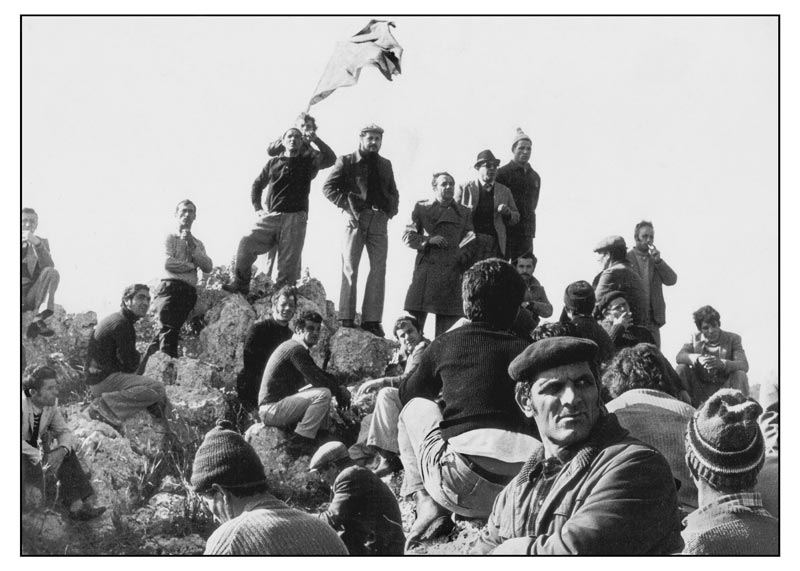 La Vera Storia Di Portella Della Ginestra