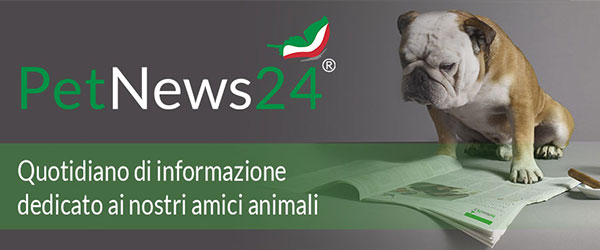 pet news 24 quotidiano di informazione dedicato ai nostri amici animali