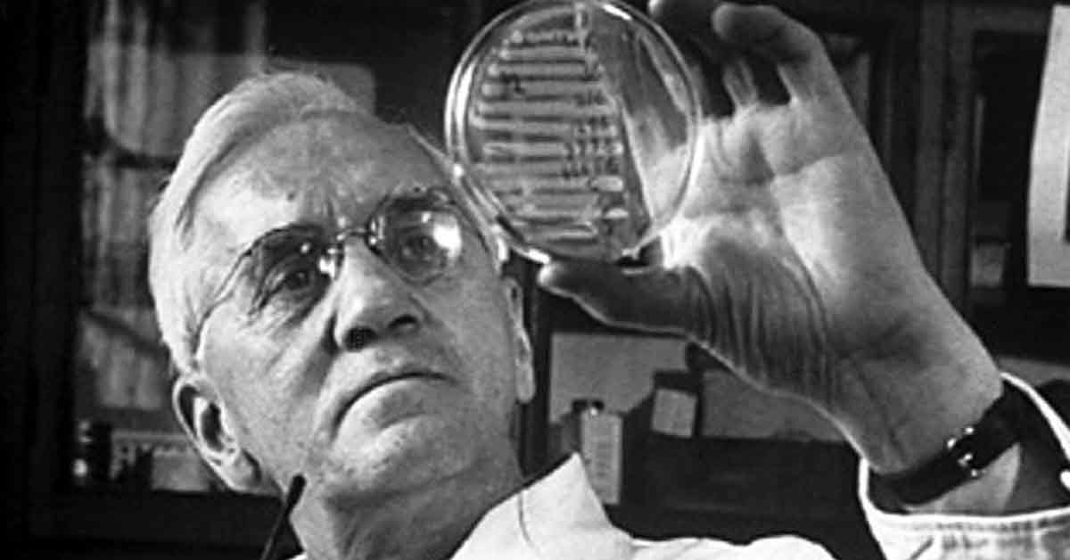 11 marzo 1955. Muore Alexander Fleming, Nobel per la medicina per la scoperta della penicellina.