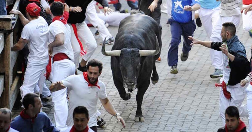 San Firmino festa